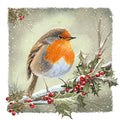 Vintage Robin