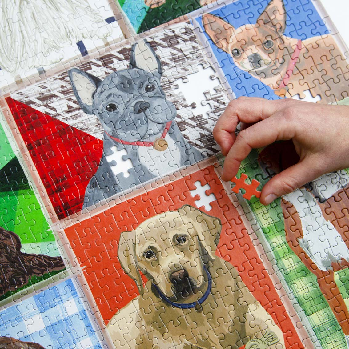 Dog Breeds -1000 Pieces Puzzle