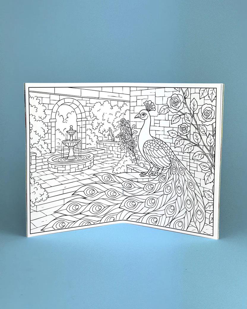 Birds Illustrated Colouring Book