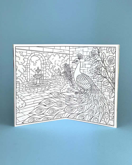 Birds Illustrated Colouring Book